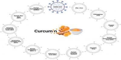 Phát triển hệ thống Nano Curcumin - tiềm năng trong điều trị COVID-19