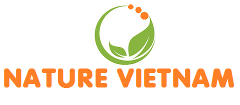 NATURE VIETNAM - Tinh túy từ thiên nhiên!